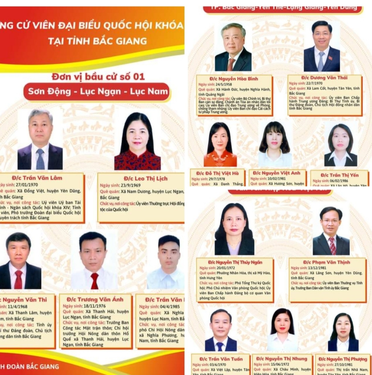Tiểu sử tóm tắt của những người ứng cử ĐBQH khóa XV tại tỉnh Bắc Giang